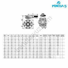 Pimtaş PVC Flanşlı Kelebek Vana - Ø140 mm