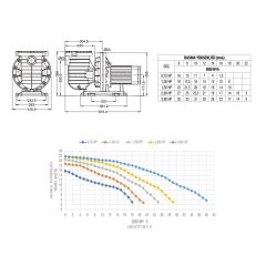 Atlaspool Best Model 1.5 HP Trifaze Havuz Pompası
