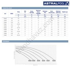 Astralpool Verdon ES 3 HP Trifaze Havuz Pompası
