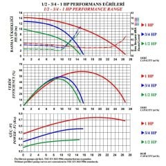 Nozbart Şirin Serisi 1 HP Monofaze Havuz Pompası