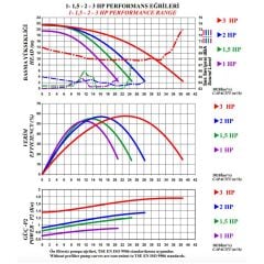 Nozbart İlk Seri 1 HP Trifaze Havuz Pompası