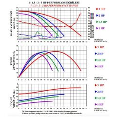 Nozbart İlk Seri 2 HP Monofaze Havuz Pompası