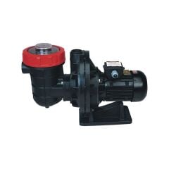 Nozbart İlk Seri 2 HP Monofaze Havuz Pompası