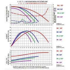 Nozbart İlk Seri 3 HP Monofaze Havuz Pompası