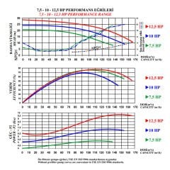 Nozbart Süper Tufan Serisi 7,5 HP Trifaze Havuz Pompası