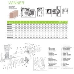 Saci Winner 1 HP Monofaze Havuz Pompası