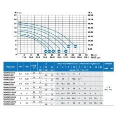 Saci Winner 1,5 HP Trifaze Havuz Pompası