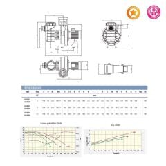 Astralpool Kivu 4 HP Trifaze Havuz Pompası (400/690V)