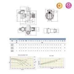 Astralpool Kivu 5,5 HP Trifaze Havuz Pompası (400/690V)