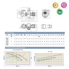 Astralpool Kivu 10 HP Trifaze Havuz Pompası (400/690V)