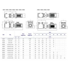 Astralpool Aral Plus C-3000 3 HP Trifaze Havuz Pompası (230/400V - 50hz)