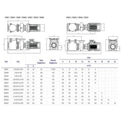 Astralpool Aral Plus C-3000 4 HP Trifaze Havuz Pompası (230/400V - 50hz)