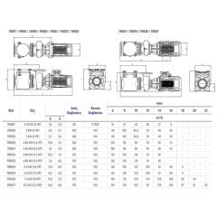 Astralpool Aral Plus C-3000 4 HP Trifaze Havuz Pompası (400/690V - 50hz)