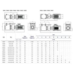 Astralpool Aral Plus C-3000 5,5 HP DN100-100 Trifaze Havuz Pompası (230/400V - 50hz)