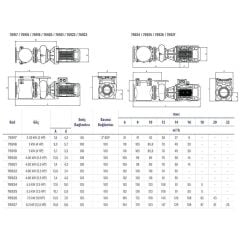 Astralpool Aral Plus C-3000 5,5 HP DN100-100 Trifaze Havuz Pompası (400/690V - 50hz)