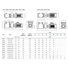 Astralpool Aral Plus C-3000 5,5 HP DN125-100 Trifaze Havuz Pompası (230/400V - 50hz)