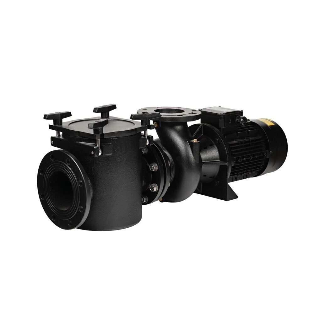 Astralpool Aral Plus C-3000 5,5 HP DN125-100 Trifaze Havuz Pompası (400/690V - 50hz)