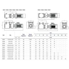 Astralpool Aral Plus C-3000 12,5 HP Trifaze Havuz Pompası (400/690V - 50hz)