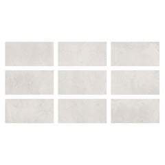 Betsan Vision Light Doğal Porselen Karo (1 m² - 33x66.5 cm)