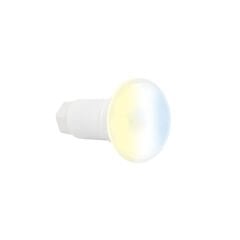 Astralpool LumiPlus FlexiMini Connect Ayarlanabilir Beyaz Mini Duvar Ampülü