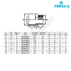 Pimtaş PVC Tek Taraf Dıştan Dişli Redüksiyonlu Adaptör - Ø40 mm