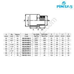 Pimtaş PVC Tek Taraf Dıştan Dişli Redüksiyonlu Adaptör - Ø63 mm